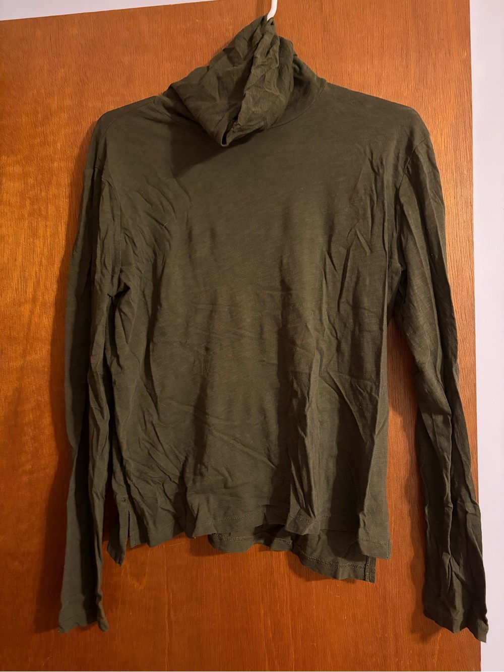 Madewell Olive Turtleneck light shirt